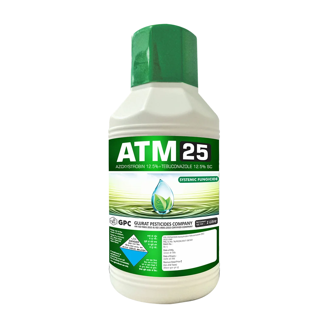 ATM-25